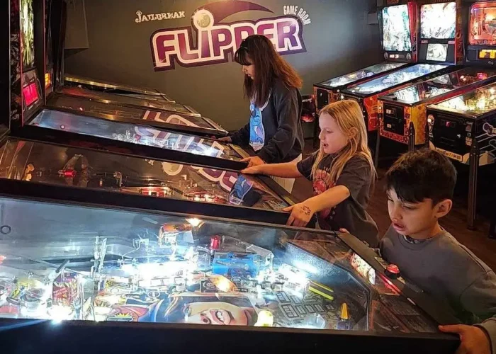 Flipper game room